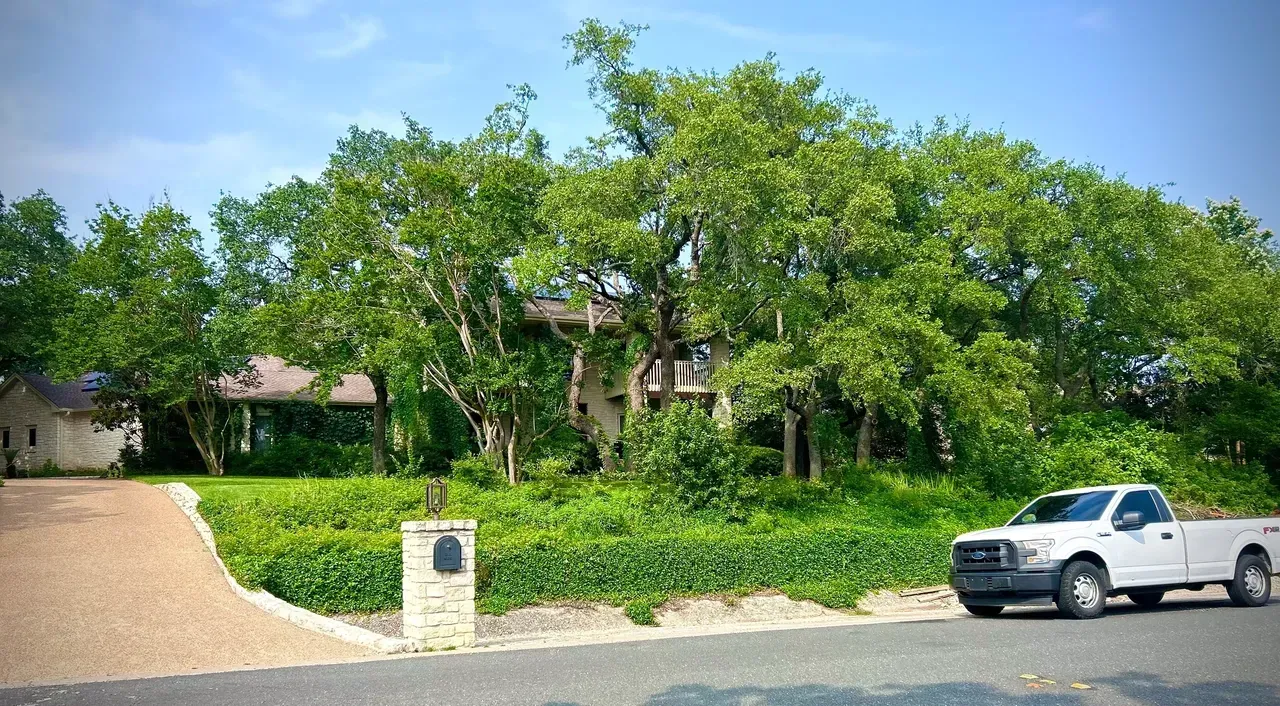 White truck parked on a street in front of a house, obscured by trees and shrubs, under a blue sky.
