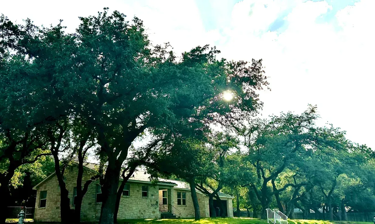 A small stone house nestled amongst large, leafy trees under a bright sky.