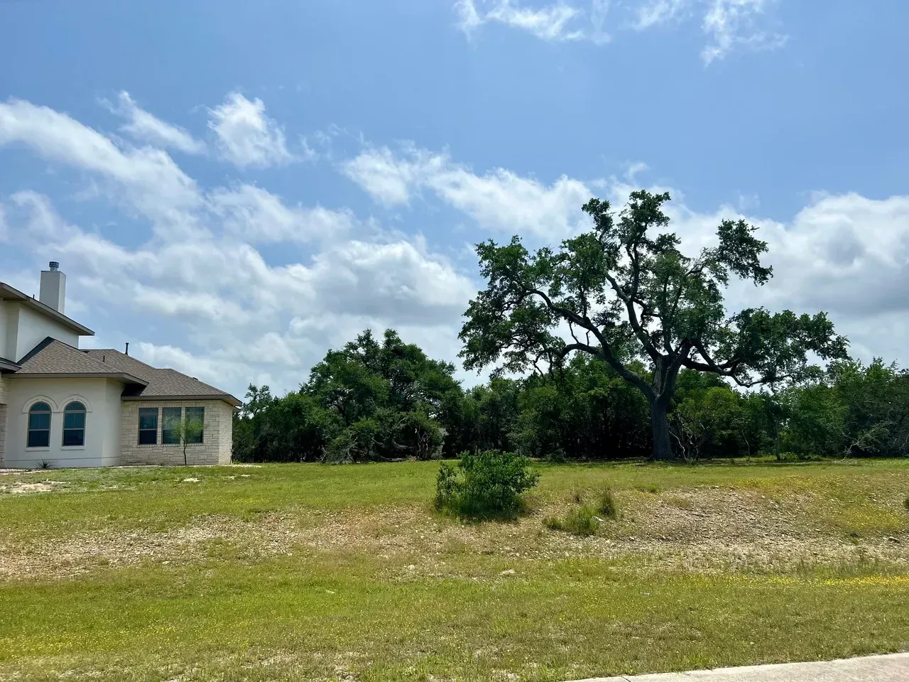 Open grassy lot with a large tree under a partly cloudy sky next to a light-colored house.