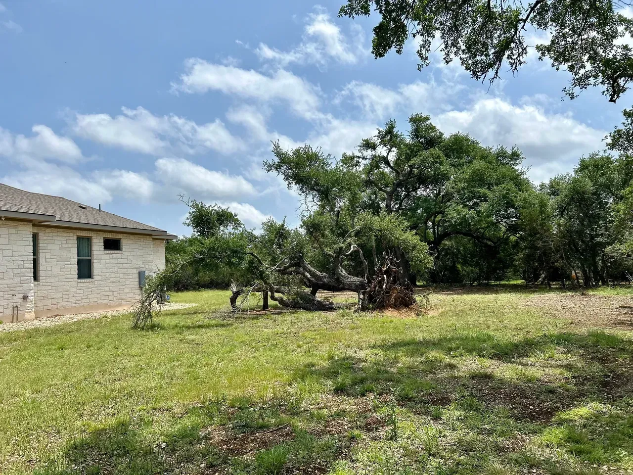 A grassy yard with a house on the left and trees in the background under a blue, cloudy sky.