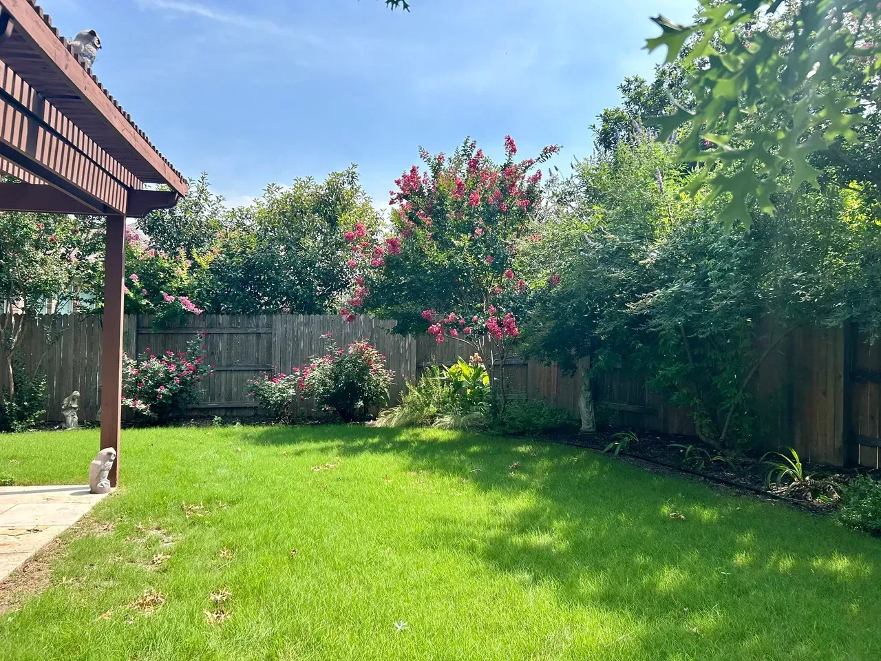 Green backyard with wooden fence, lush grass, trees with pink flowers, and a pergola.