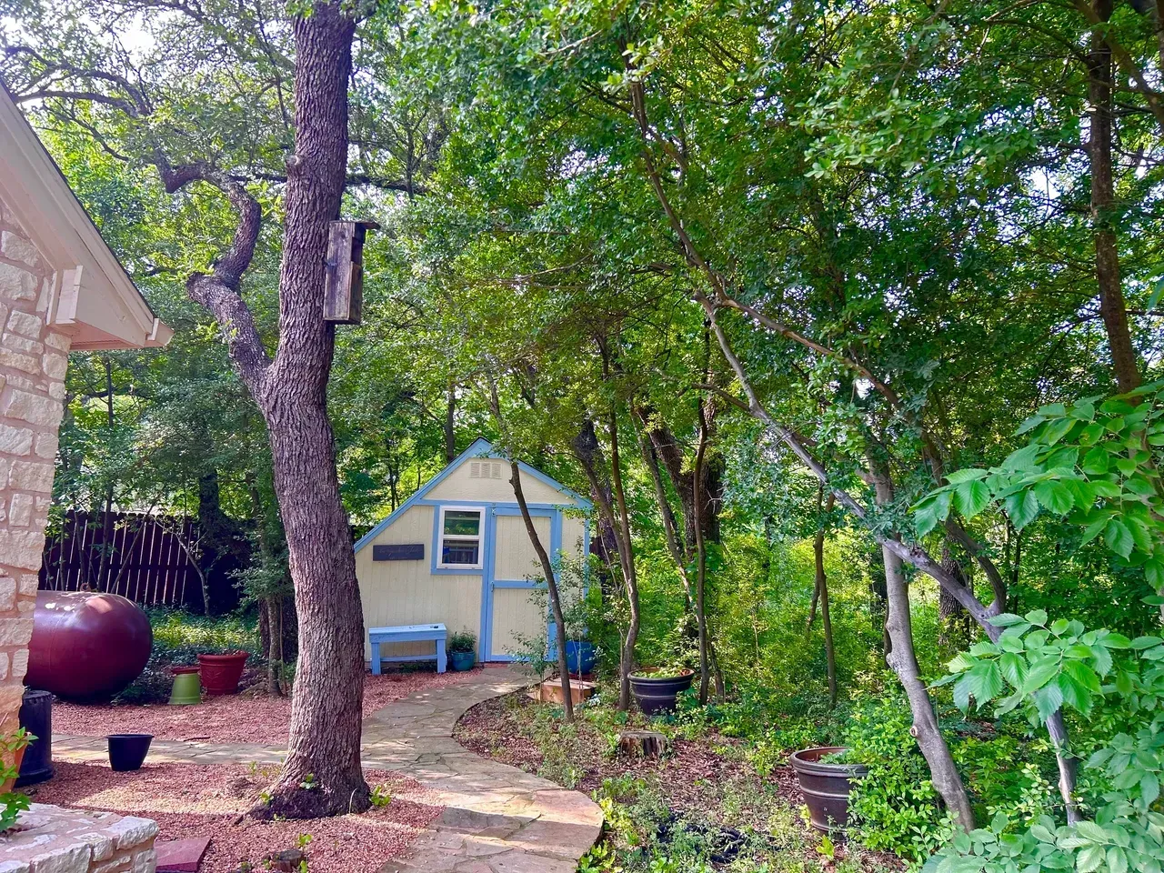 A backyard with a small shed and winding stone path surrounded by trees and greenery.
