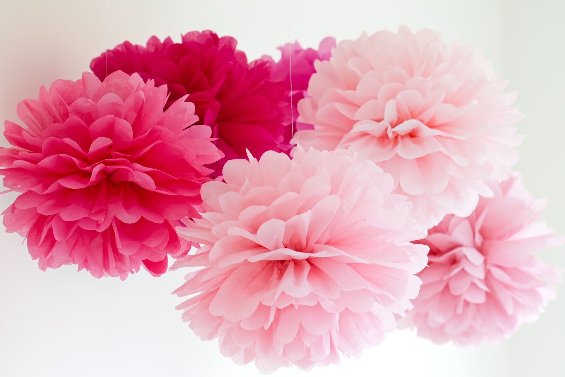 A bunch of pink flowers on a white background - Yeppoon Balloons & Party Supplies in Yeppoon, Qld