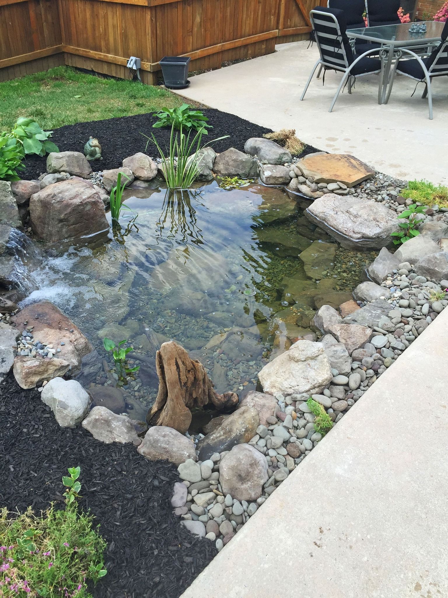 Outdoor Garden Pond