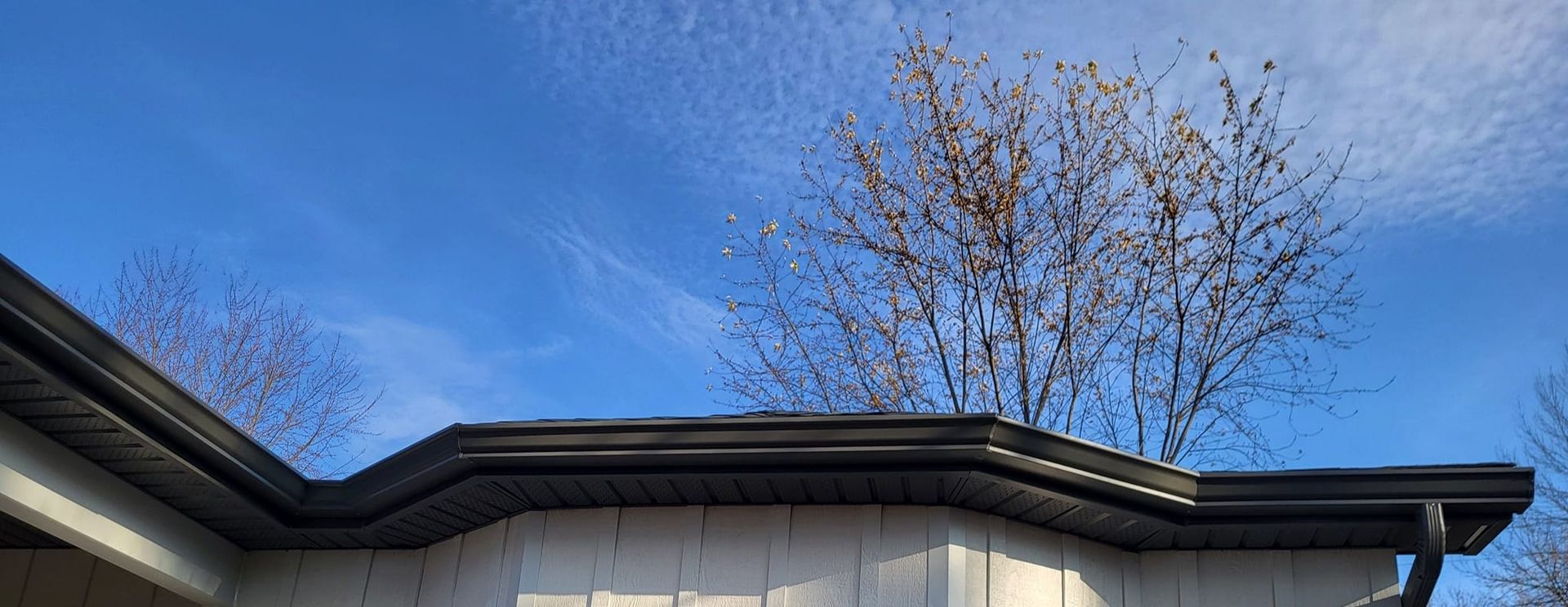 Le toit d'une maison avec un arbre en arrière-plan et un ciel bleu.