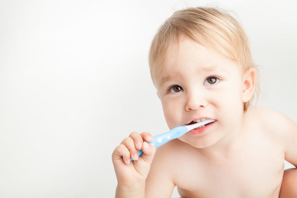 introduce one year old to the dentist