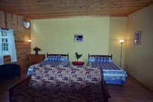 a bedroom with two beds , a couch , and a lamp .