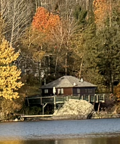 a green house is sitting on the shore of a lake surrounded by trees .