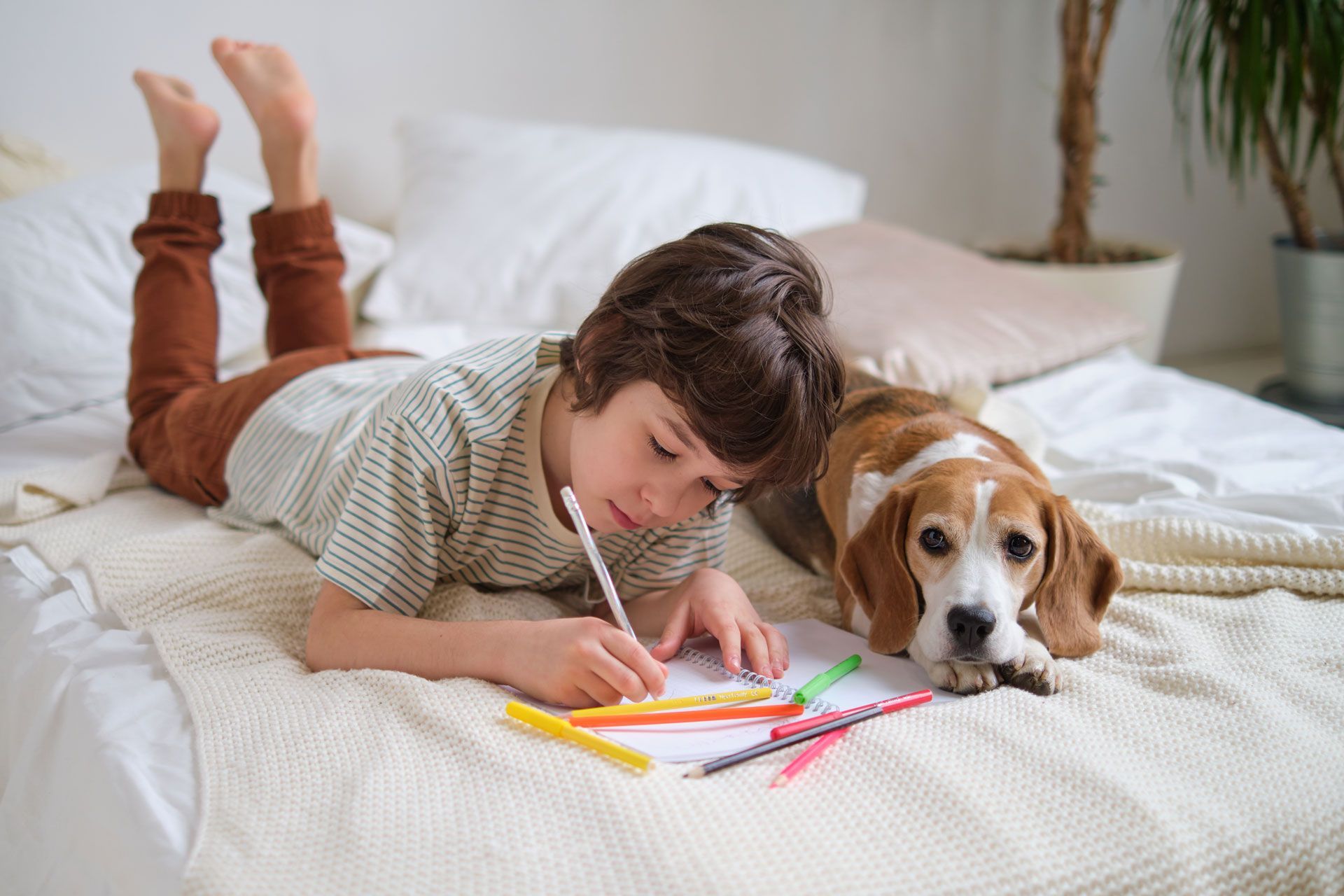 Child lying on a bed drawing with colored pencils beside a resting beagle