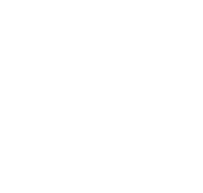 DM Vital Skin & Spa logo