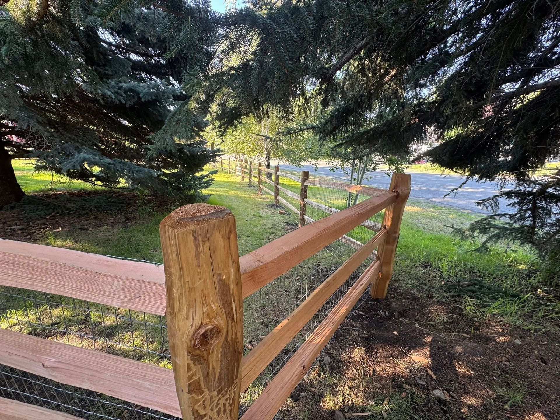 Wooden split-rail fence in a grassy area, under a large tree's branches.