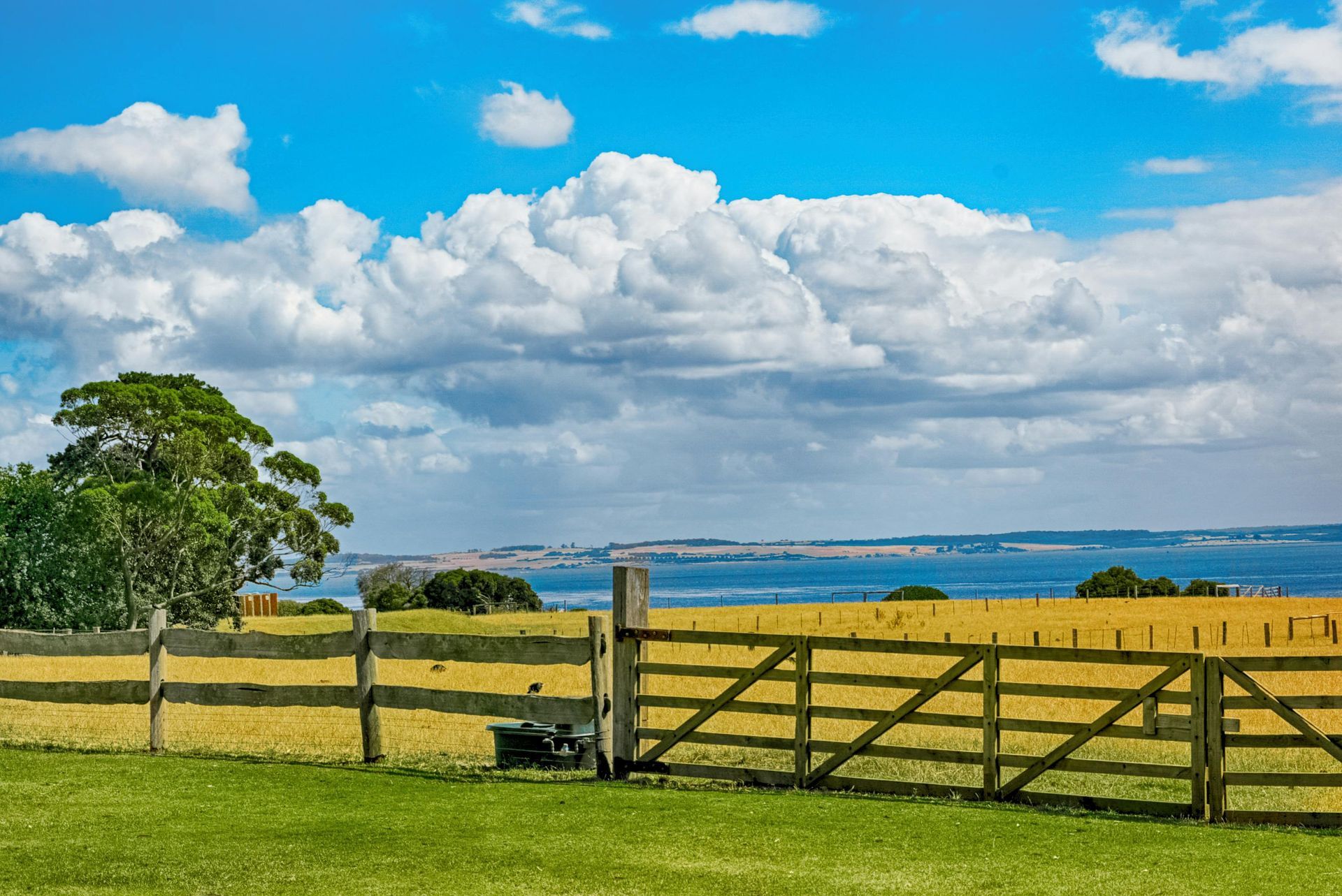 Grassy field with wooden fence, tree, and blue sky with puffy white clouds, overlooking a body of water.