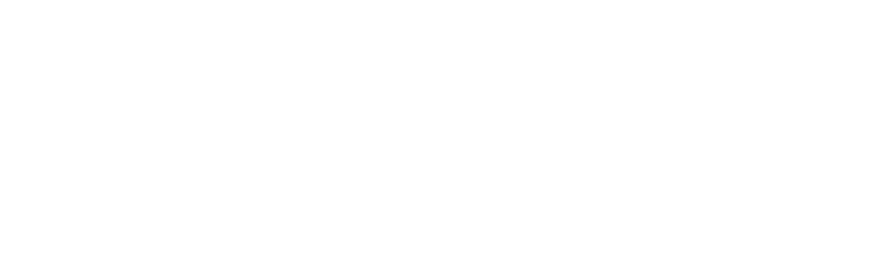 The word Flexon collection