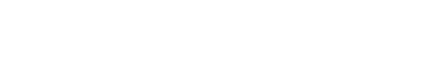 The Brand Dragon logo