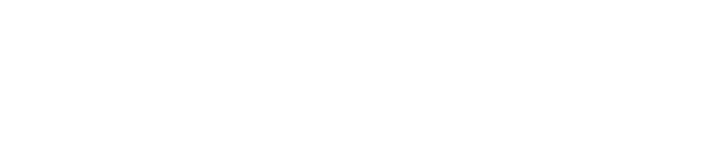 A label of Eyewear Salvatore Ferragamo