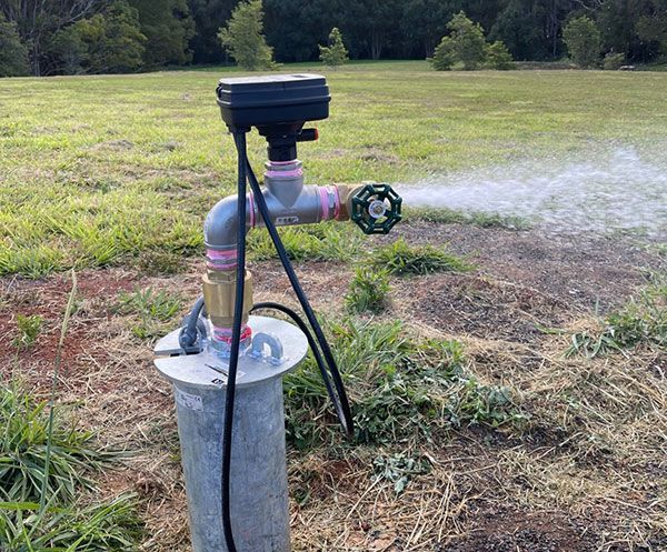 Irrigation bore