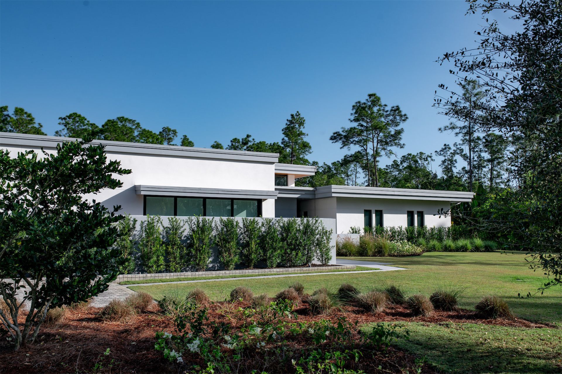 a white house with palm trees in the background