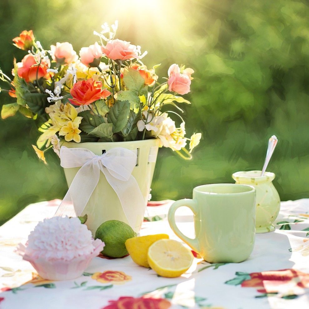 picnic image