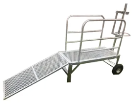 Goat milking stand