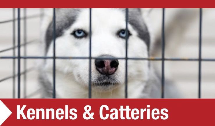 Kennel Equipment MW Engineering & Fabrication Ltd