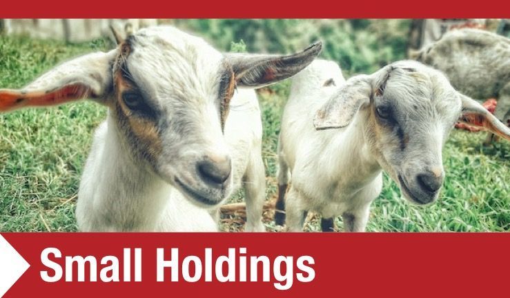 Smallholdings Equipment including Goat Pens and Feeders MW Engineering & Fabrication Ltd