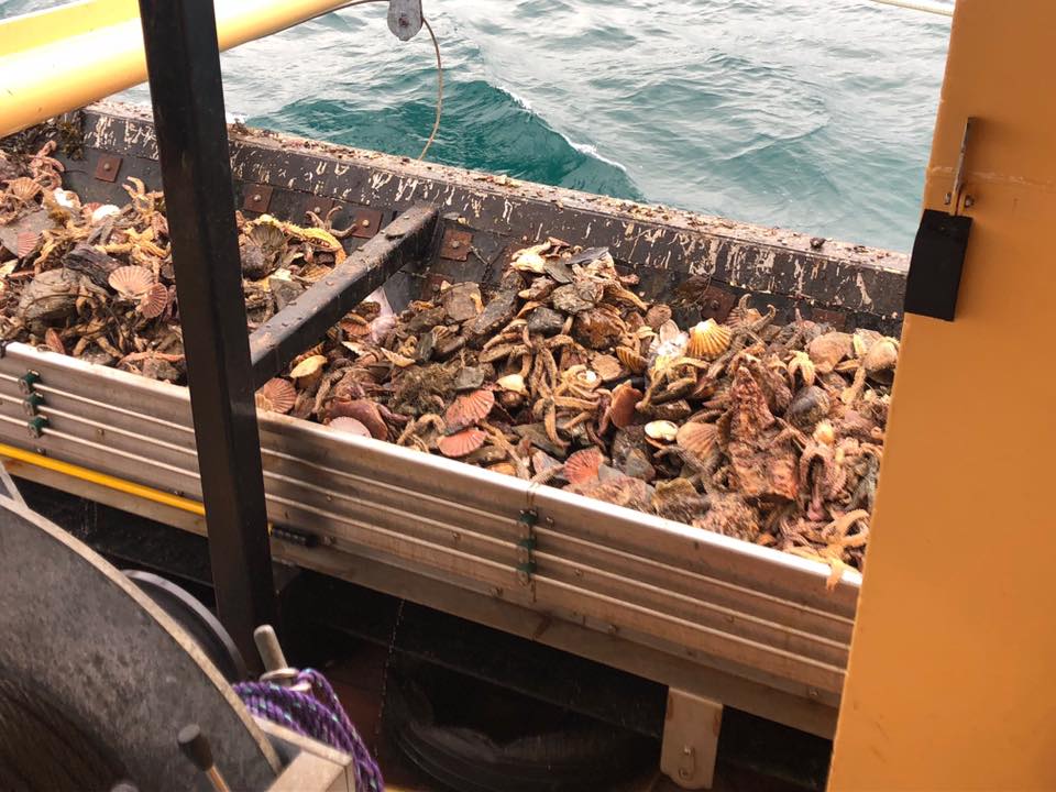 Trawler Conveyors fabricated  to your specification by MW Engineering & Fabrication Kirkcudbright Dumfries & Galloway Scotland