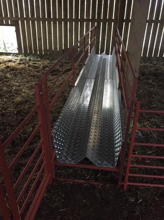 Walk through sheep feeders fabricated by MW Engineering & Fabrication Kirkcudbright Dumfries & Galloway Scotland