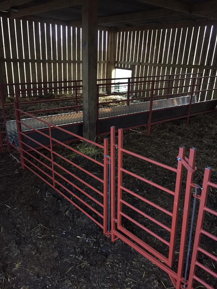 Walk through sheep feeders fabricated by MW Engineering & Fabrication Kirkcudbright Dumfries & Galloway Scotland