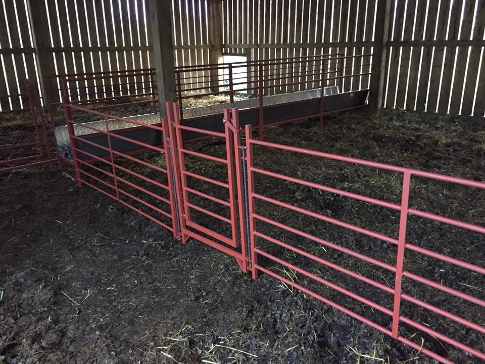 Walk through sheep feeders made by MW Engineering and Fabrication, of the kind to be seen at the Royal Highland Show.