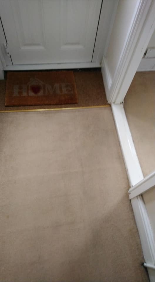 beige carpet after
