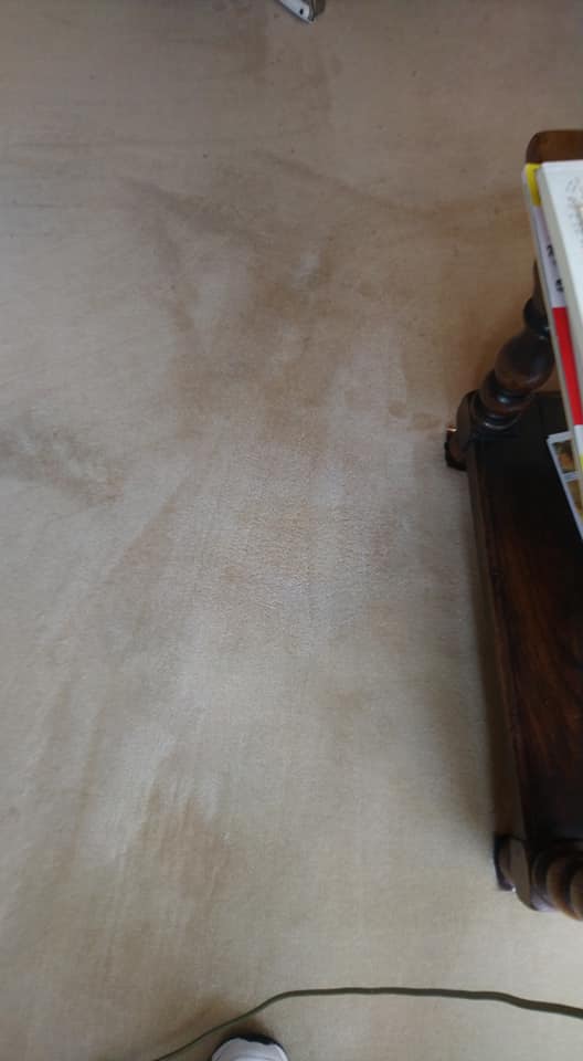 floor stain after