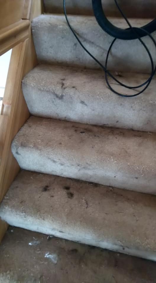 stained stairs before