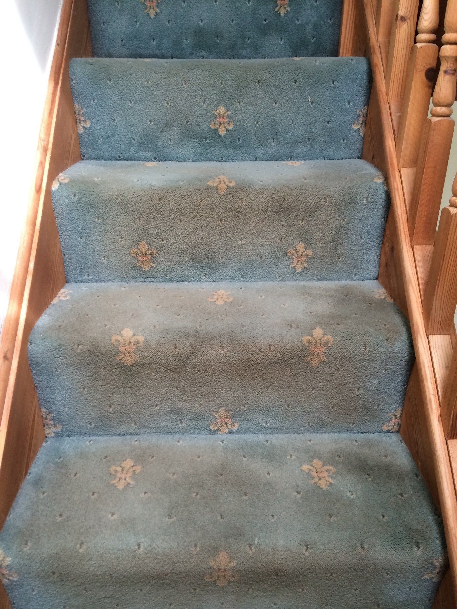 Blue Carpet before