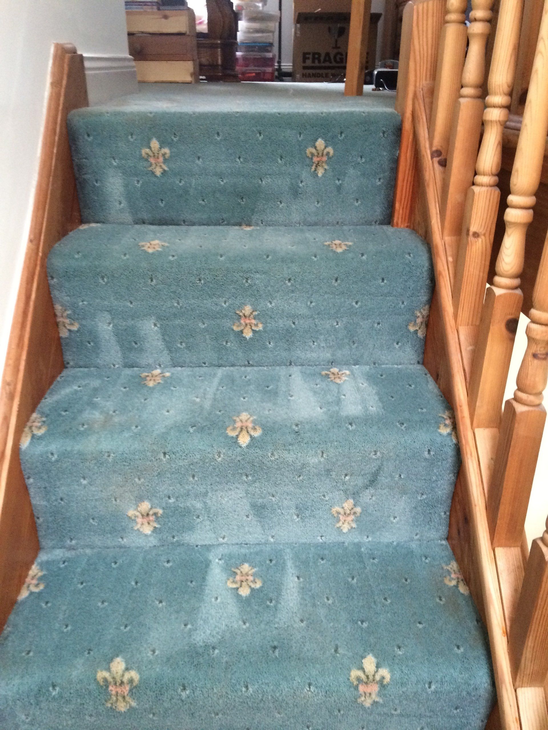 Blue Carpet After