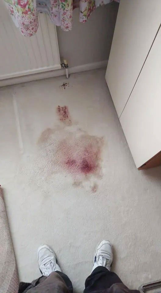 Wine stain on floor before