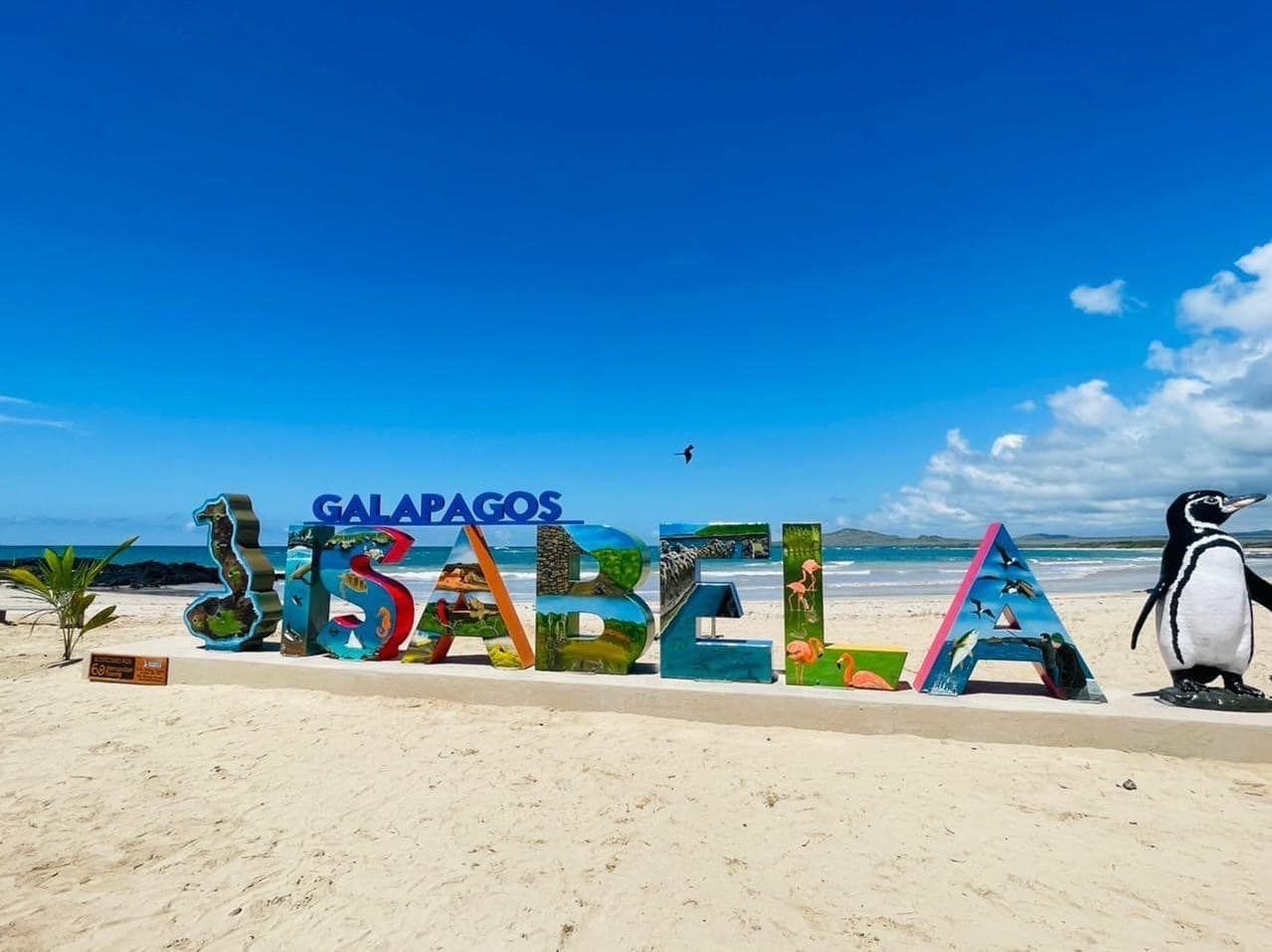 Un pingüino está parado frente a un cartel que dice Galápagos.