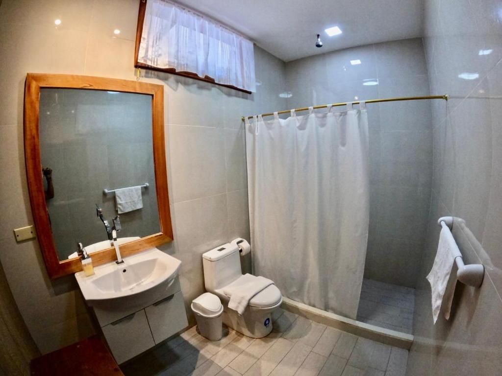 Un baño con lavabo, inodoro, ducha y espejo.