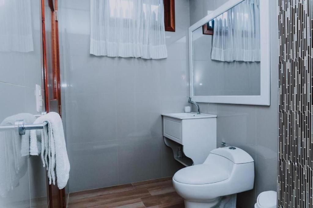 Un baño con inodoro, lavabo y espejo.