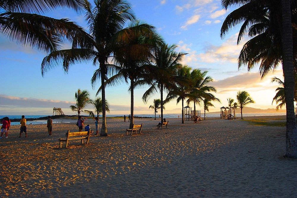 Una playa con palmeras y un parque infantil al atardecer.