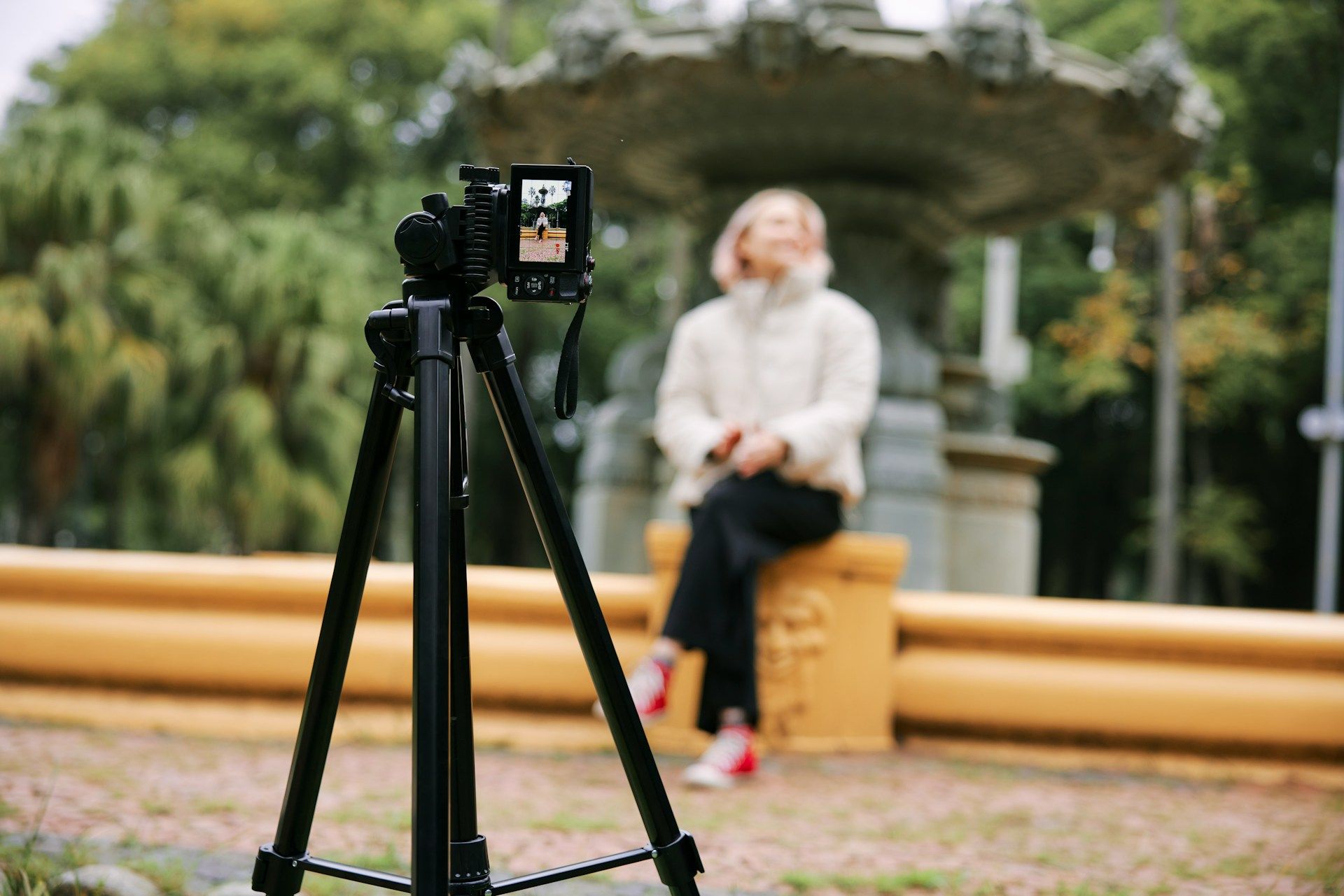  video company