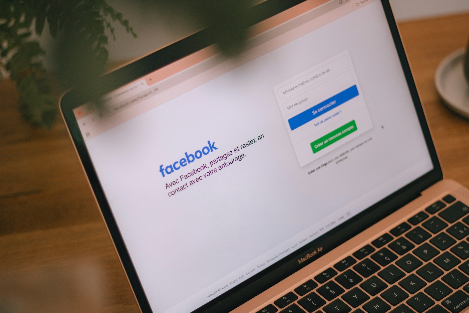 social media advertising