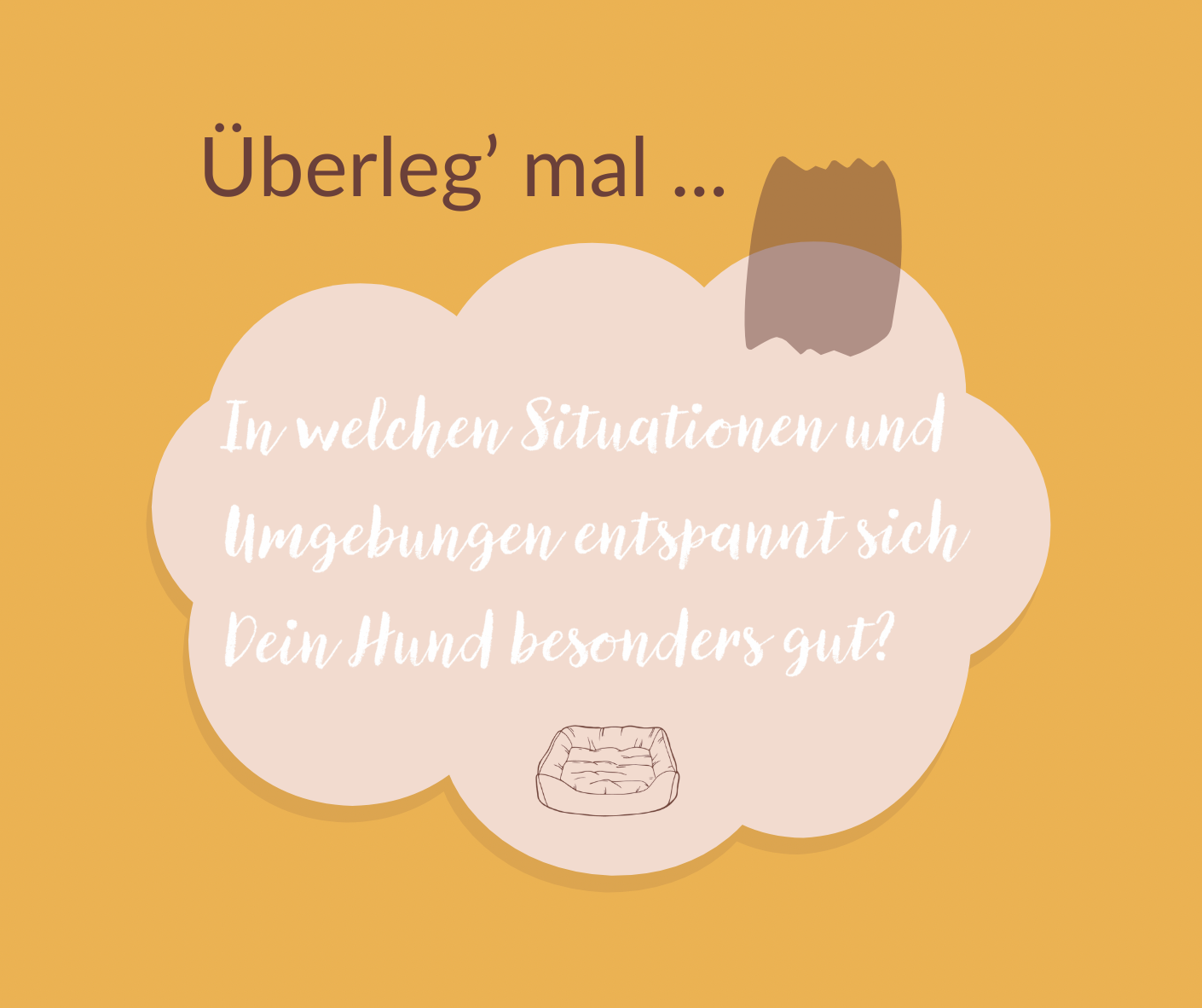 Überleg mal: In welchen Situationen und Umgebungen entspannt sich dein Hund besonders gut?
