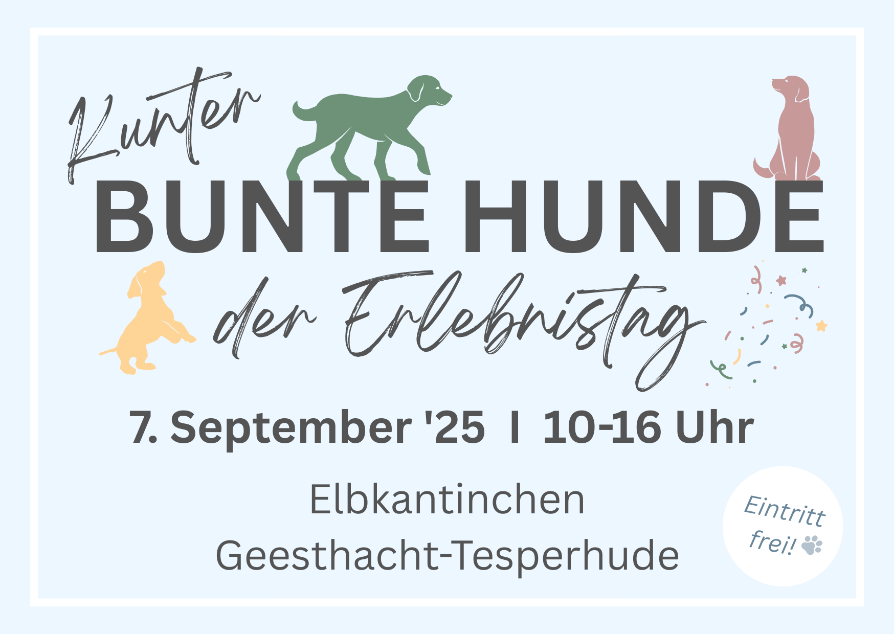 Kunter BUNTE HUNDE – der Erlebnistag