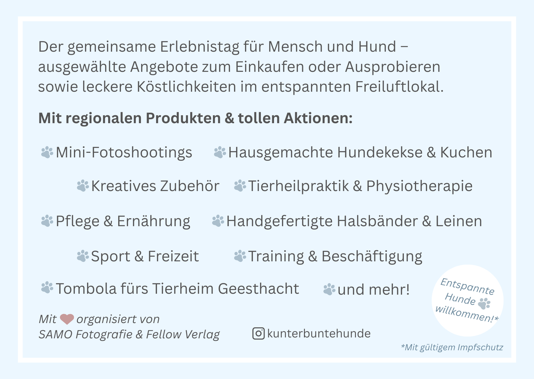 Kunter BUNTE HUNDE – der Erlebnistag