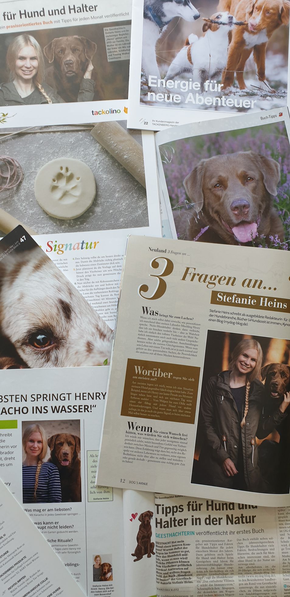 Fellow Verlag Presseartikel