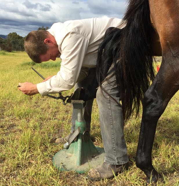 Richard trimming a hoof