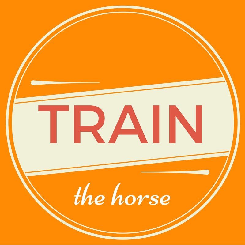 Train the Horse Title