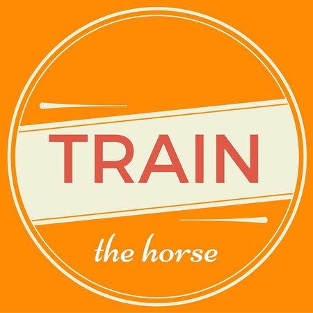 Train the Horse Title