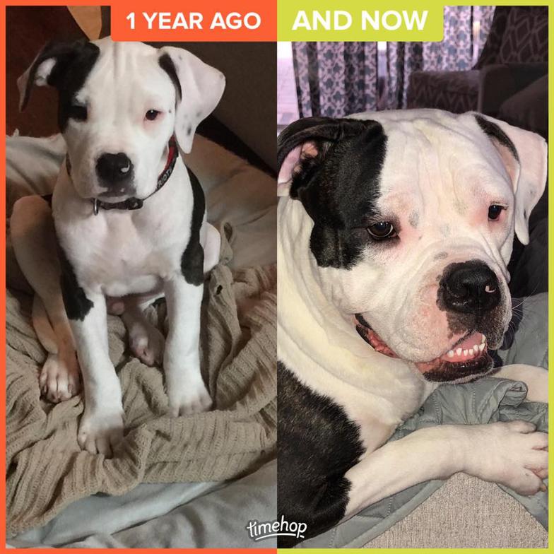 Hank Then And Now — Tallahassee, FL — Think About It Farms