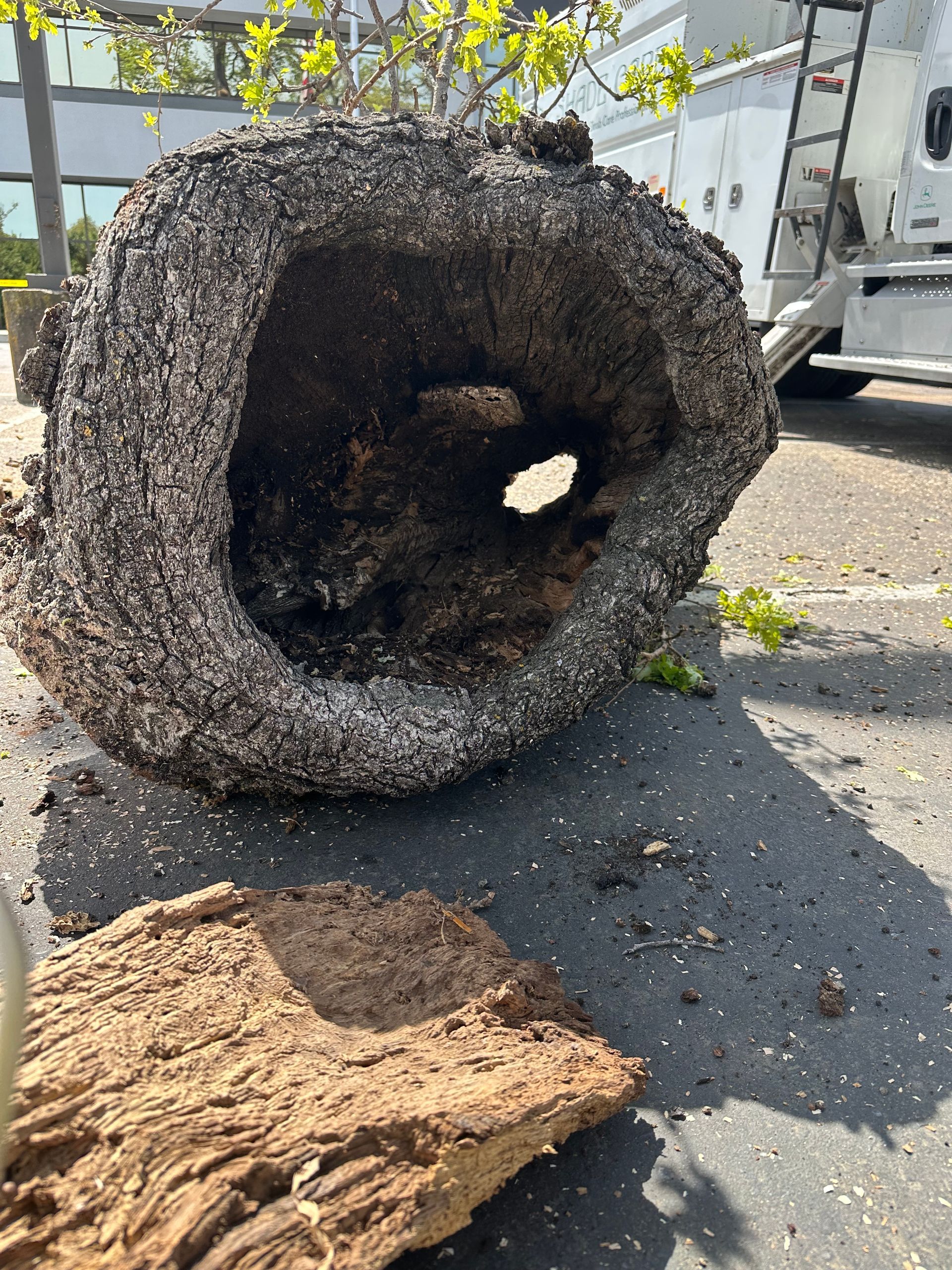 A large piece of wood with a hole in it is sitting on the ground.